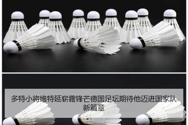 多特小将维特延崭露锋芒德国足坛期待他迈进国家队新篇章